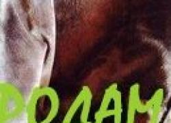 БОТФОРТЫ оригинал натуральный замш
