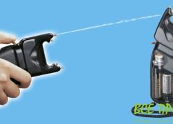 Электрошокер (ESP) Scorpy 200